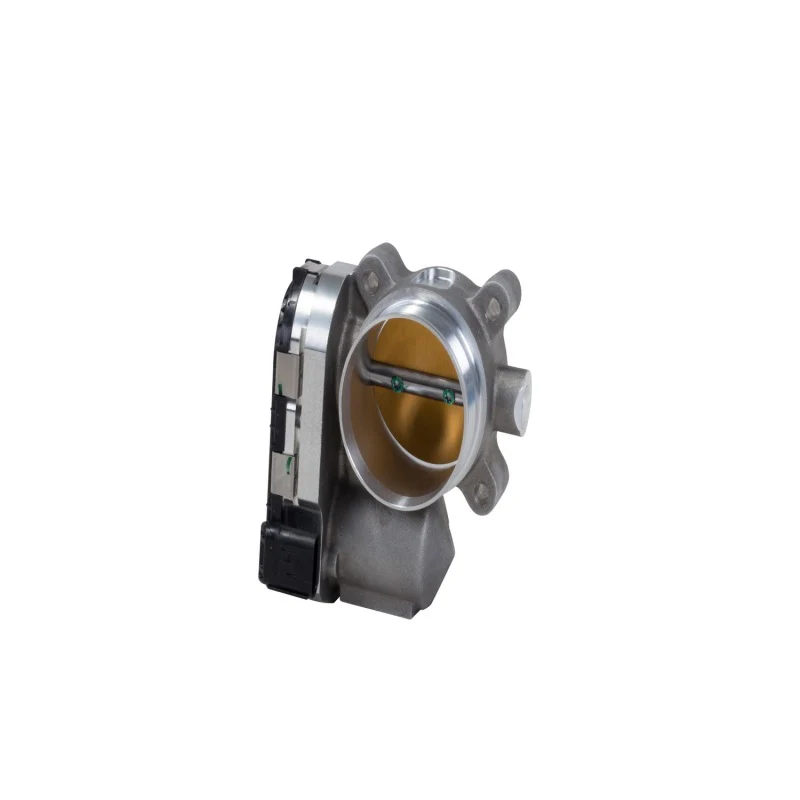 Throttle Bodies & Spacers
